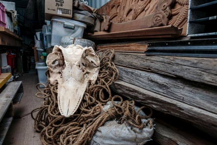 The skull of a Brydes whale, in the storage container at Hihiaua Cultural Centre, Whangārei.