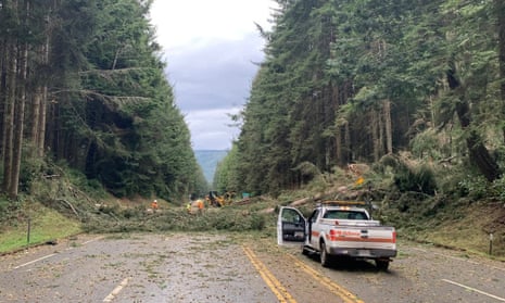 Fallen trees are seen on US Highway 101 in Humboldt county, California. 
