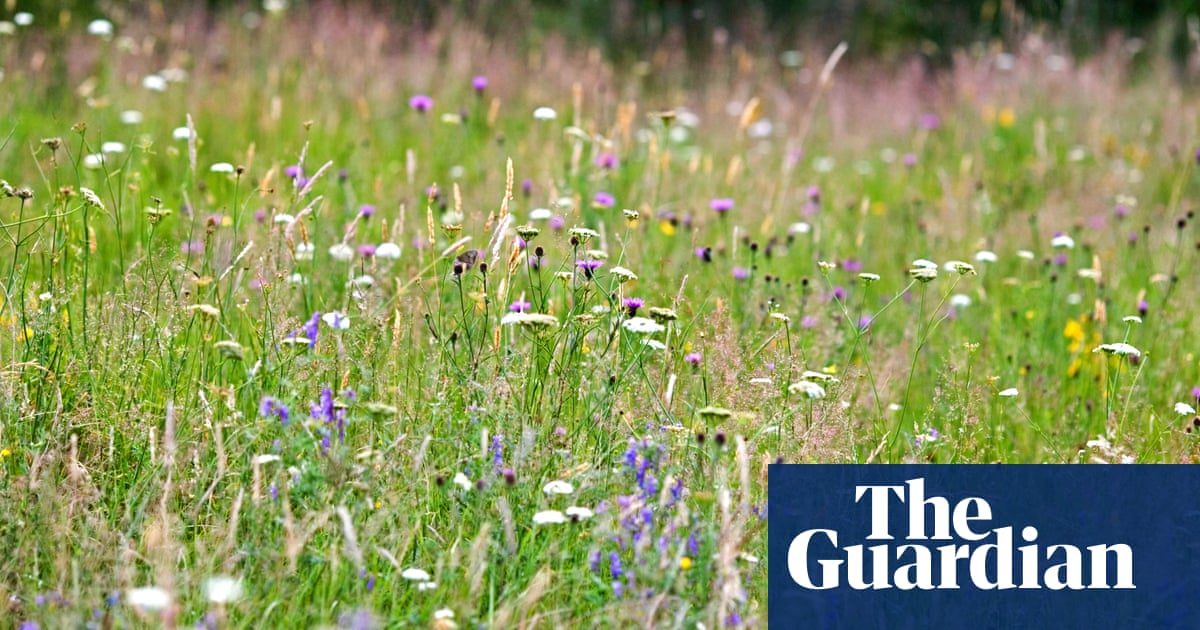 Labour cutting farming budget in England by 100m a year, figures shows