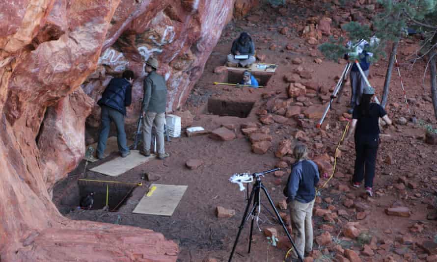 Wattle used for tools, food and medicine by Western Desert traditional owners for 50,000 years, study shows | Indigenous Australians Wattle used for tools, food and medicine by Western Desert traditional owners for 50,000 years, study shows | Indigenous Australians