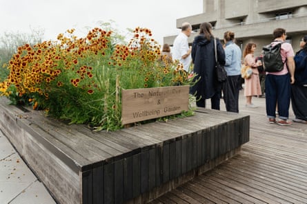Flowers in the garden with a sign reading ‘The Natural Dye and Wellbeing Garden’