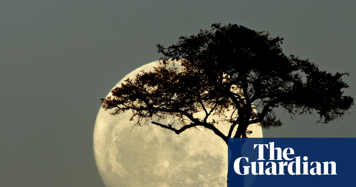 What phase follows a full moon? The Saturday quiz