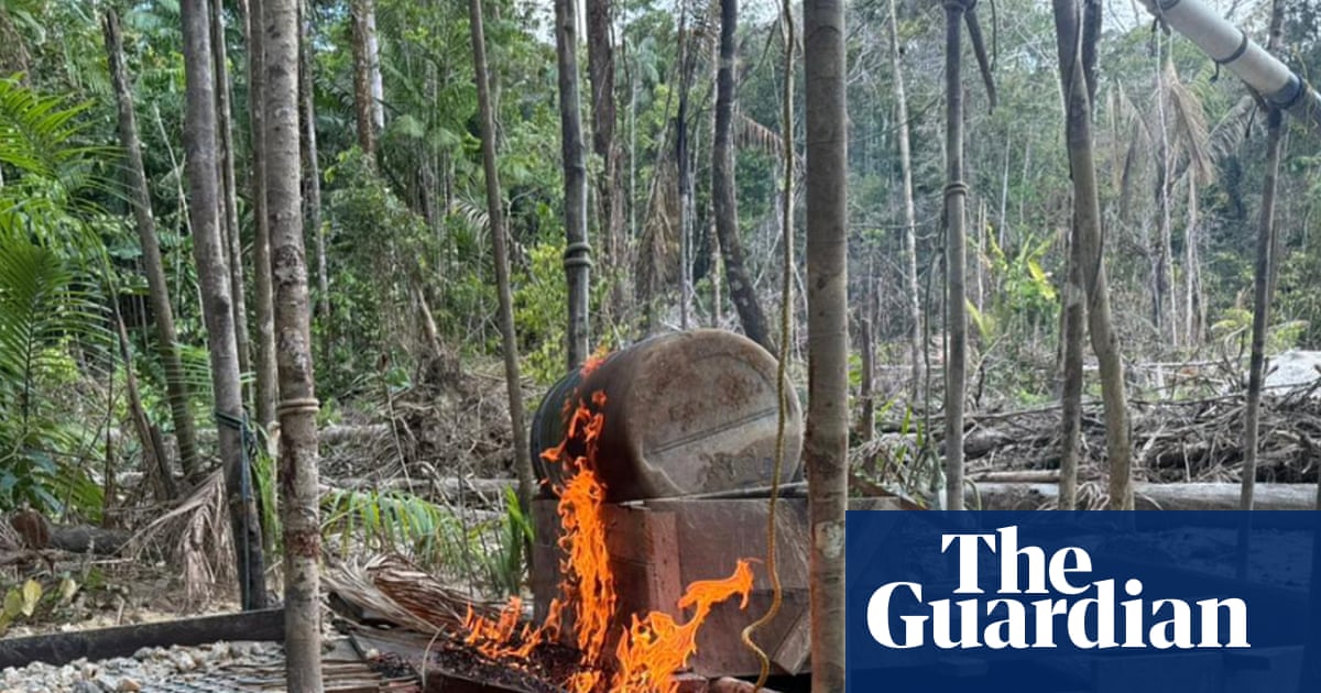 Nearly 200 arrested in cross-border crackdown on gold mining in Amazon