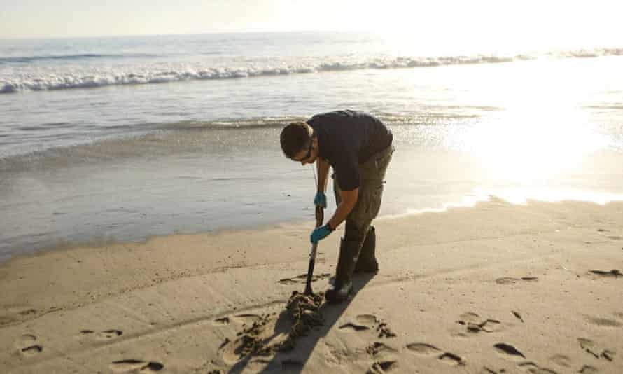Daniel Orr and Peter Boucher of the California department of fish and wildlife rushed to collect samples from an area spotted with globs of black.