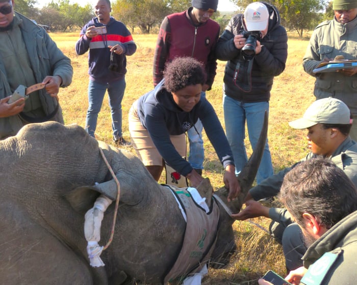 Bring on the drones: how a technology revolution is being rolled out across Africa’s nature reserves