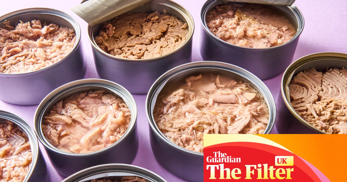 Pungent and mealy': the best (and worst) supermarket tuna, tasted and rated