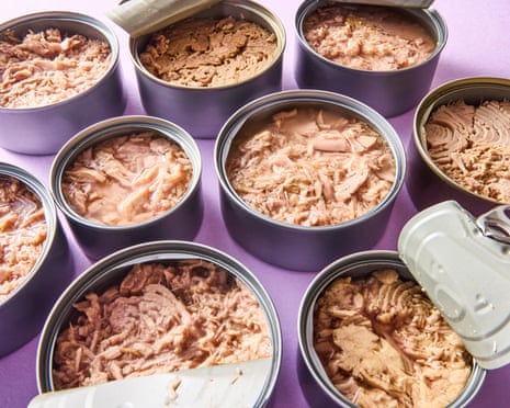 Several open metal cans filled with flaked tuna in oil or brine sit on a purple surface