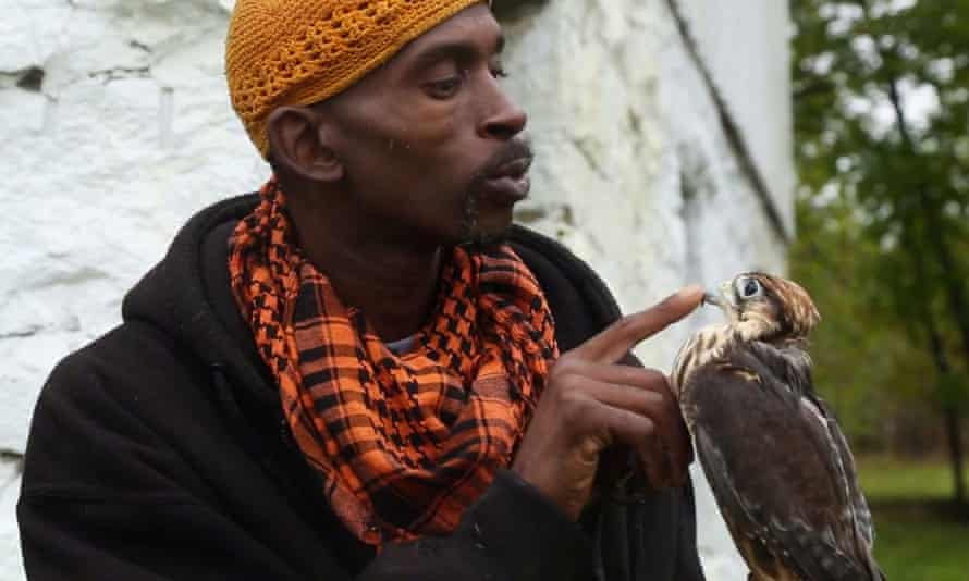 Rodney Stotts hält seinen Falken James