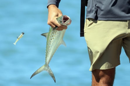 a man with a fish in hand