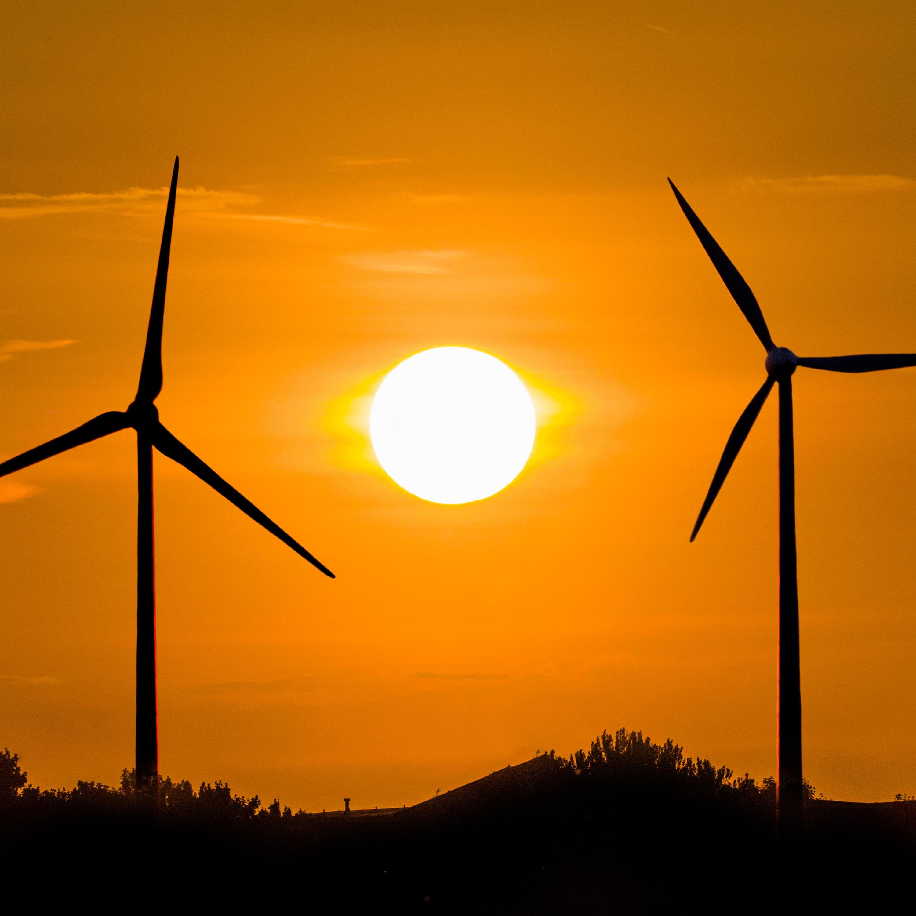 The clean energy revolution – a reason to be hopeful