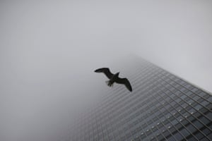 A seagull navigates through the fog around Canary Wharf in London