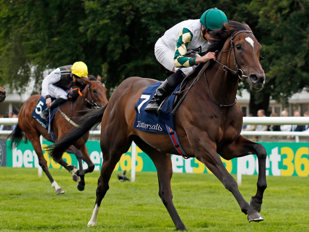 Porta Fortuna on track for Breeders' Cup after flowing Falmouth success | Horse racing | The Guardian