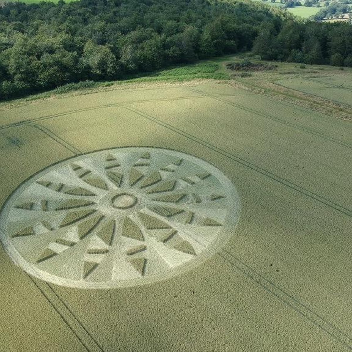 Crop Circles Explained
