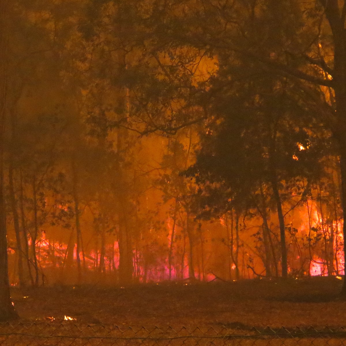 Weather Disasters Cost 150bn In Revealing Impact Of Climate Change Report Bushfires The Guardian Weather Disasters Cost 150bn In Revealing Impact Of Climate Change Report Bushfires The Guardian