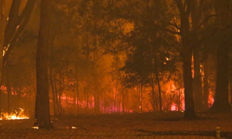 A fire front in Mallacoota in Australia, where tens of millions of wild animals were killed in bushfires.