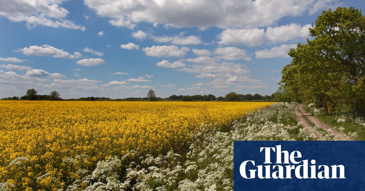 UK moves closer to allowing gene editing of crops by allowing more research