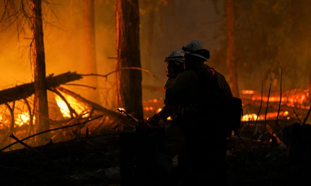 Firefighters battle the Washburn fire in Yosemite national park in California on 11 July.