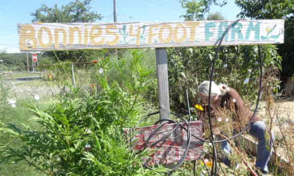 Could Urban Farming Be An Oasis In The Tulsa Food Desert Cities