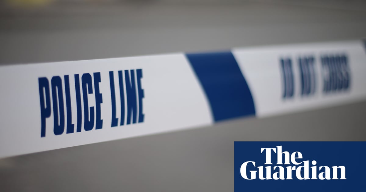 Attacker punches pregnant woman in stomach in north London
