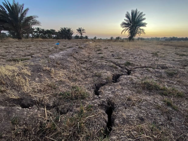 The Mizher family's crops have failed, with their once-fertile land dried out.