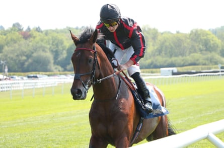 Maltese Cross, ridden by Tom Marquand, going to post before winning The William Hill Lingfield Derby Trial Stakes
