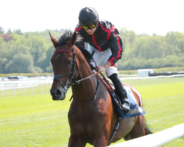 From Snakes on a Plane to the Bois de Boulogne: Waud seeks Hollywood ending in the Arc