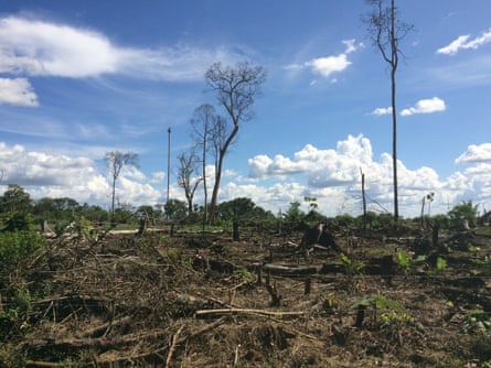 IMG 2028 Deforestation in Colombia : Recent deforestation outside El Retorno in Guaviare, Colombia