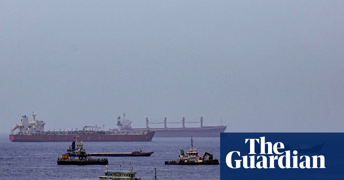 Ships stuck in strait of Hormuz pose ‘super-spreader’ biodiversity threat, scientists warn