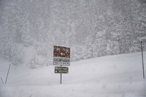 snow covering a sign