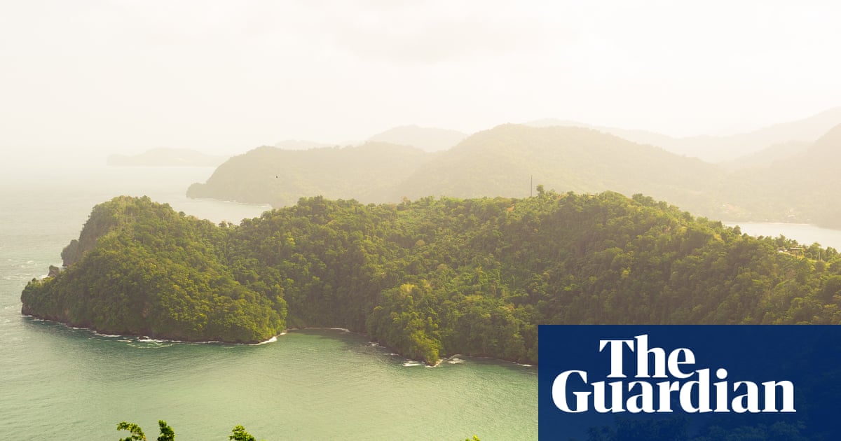 Ever Since We Small by Celeste Mohammed review – a big-hearted Caribbean tale