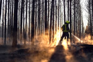A firefighter works on extinguishing a forest fire