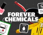 How 'forever chemicals' have seeped into almost everything - video