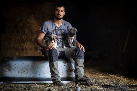 Fernando Rodríguez Tábara with mastiff puppies on each knee.