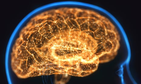 Human brain, computer illustration
