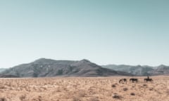 Horsewoman Telane Greyling rides alongside two loose horses on a Namib desert ride.
