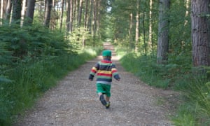 little boy in striped jumper walking down woodland path,