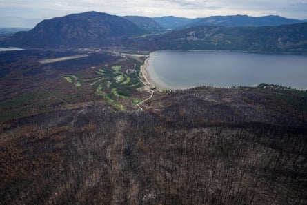 Hillsides covered in blackened trees surrounding a lake.