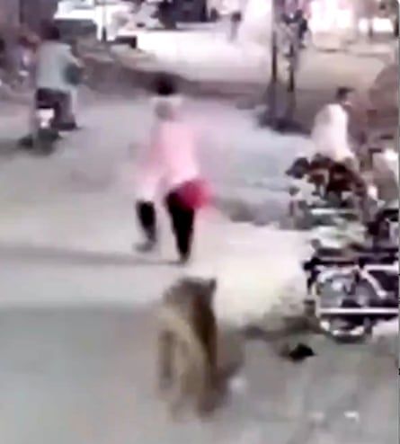 A woman and child run away from the lion