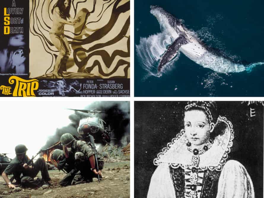 9mother9horse9eyes9 The Mysterious Tale Terrifying Reddit Reddit The Guardian 9mother9horse9eyes9 The Mysterious Tale Terrifying Reddit Reddit The Guardian