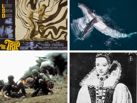 Themes from the story (clockwise from top left): a poster for the film The Trip; a humpback whale; Countess Elizabeth Bathory; and the cast of Apocalypse Now.