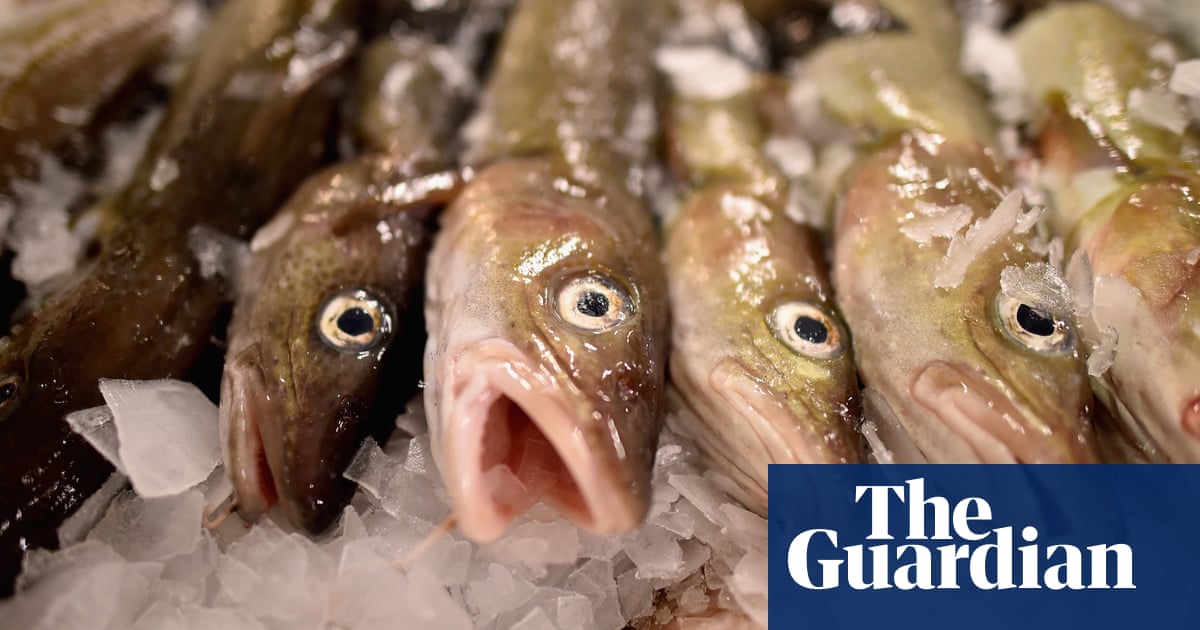EU ministers opt to continue overfishing, despite 2020 deadline