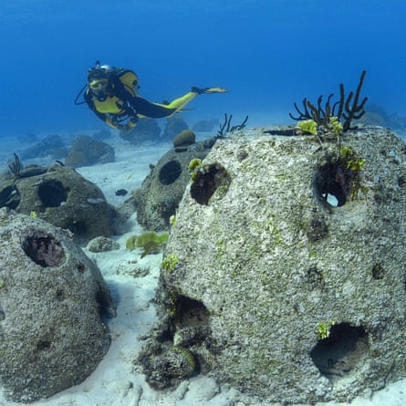 Reef balls can attract a host of marine life to largely barren seabed. One near Florida is now home to 56 species of fish, as well as crabs, sea urchins, sponges and coral.