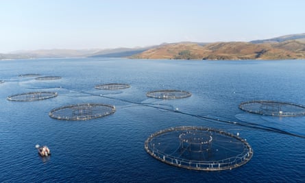 A salmon farm at Loch Tay in Scotland.