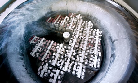 Hope Or Hype The Chilling Truth About Freezing Your Eggs Pregnancy The Guardian