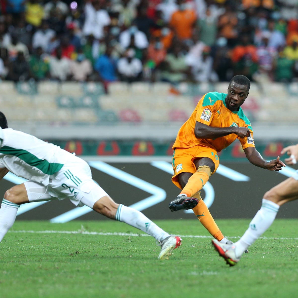 Ivory coast vs algeria
