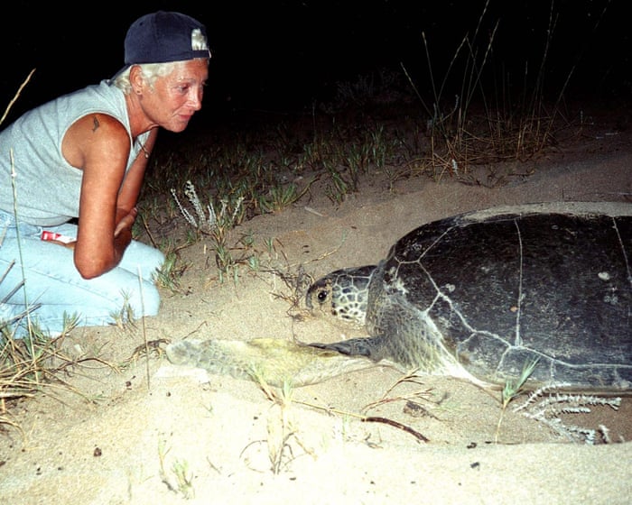 Israeli attack kills famed turtle sanctuary ecologist in Lebanon