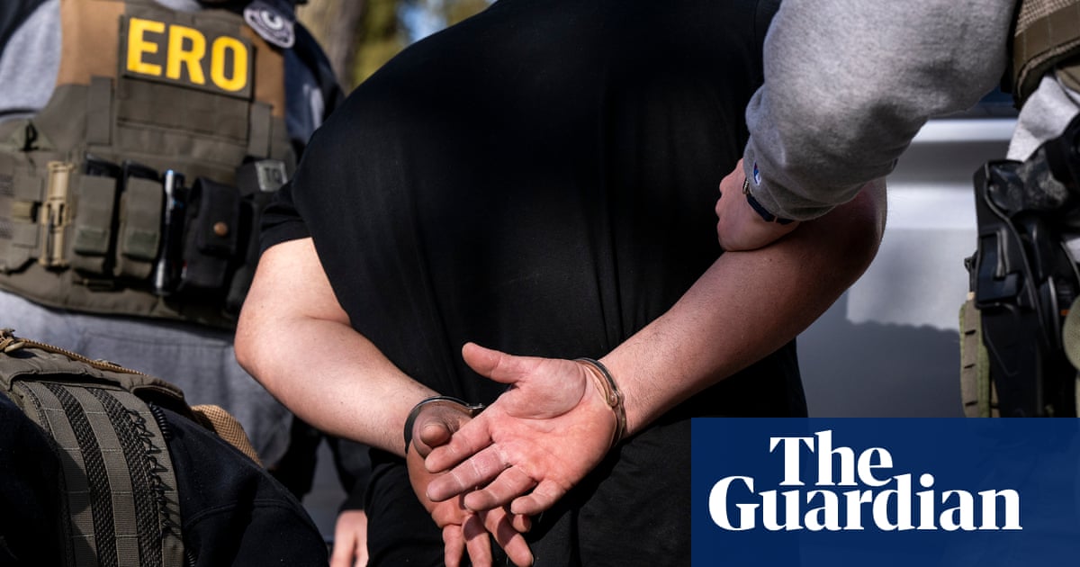 ‘We should be worried’: report sheds light on ICE’s booming arsenal of hi-tech surveillance tools