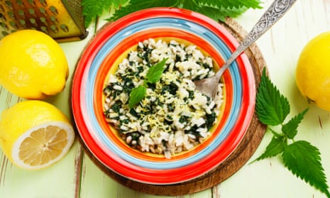 Something for nothing … nettle risotto.