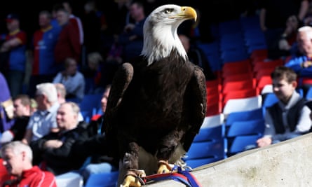 Crystal Palace’s mascot, Kayla, sits poised before the match with Chelsea in 2014 – with Eden Hazard looking like ready prey.