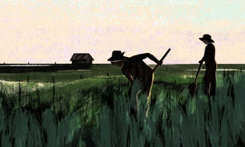 Illustration of women farming.
